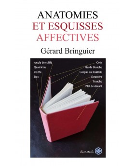 Anatomies et esquisses...